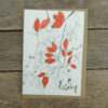 PYO8 rosehip card_web