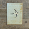 SP20 speckled Swallow card web