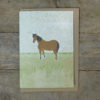 SP40 speckled Horse card web