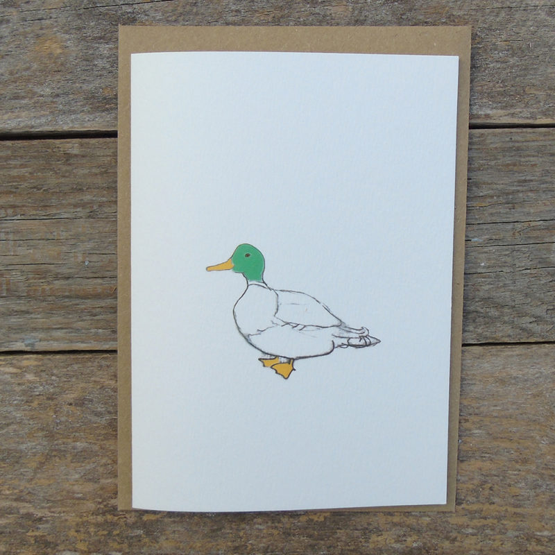 mallard duck card_web