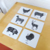 set of 6 meat cuts placemats